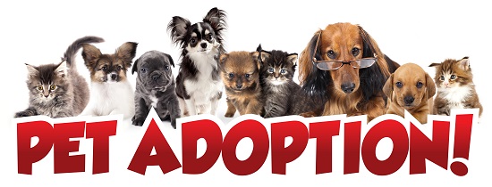 Pet Adoptions